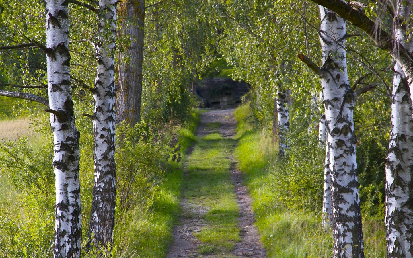 Wandern auf der Schwäbischen Alb