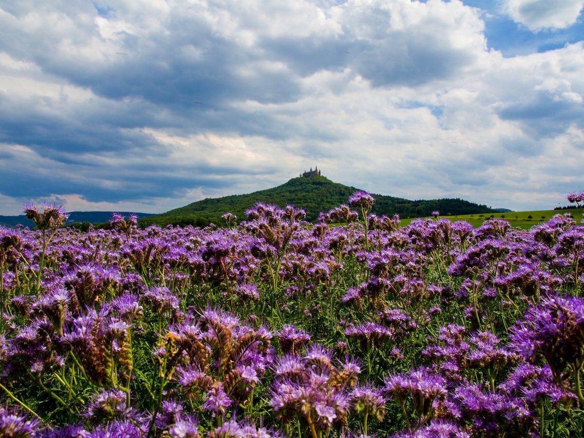 Burg Hohenzollern